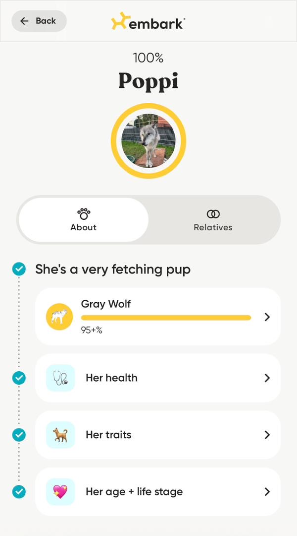 Embark Results 2
