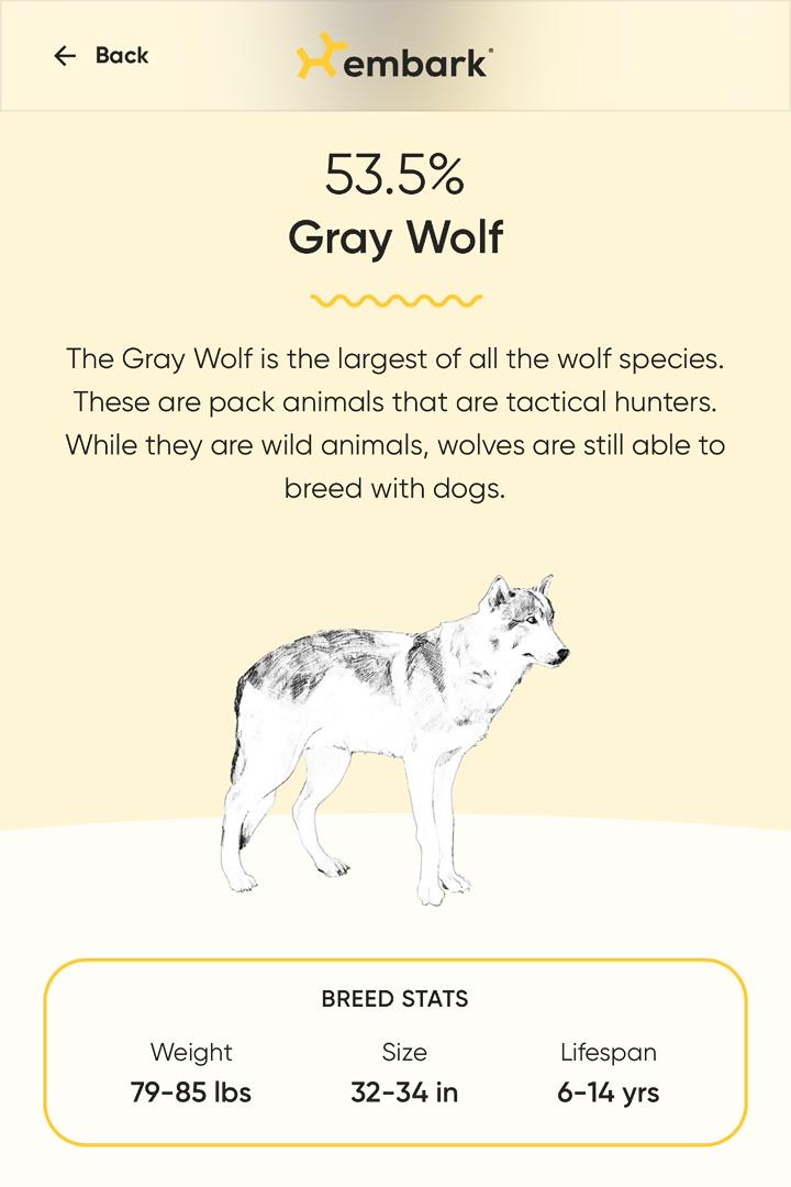 Holly Embark Results 1