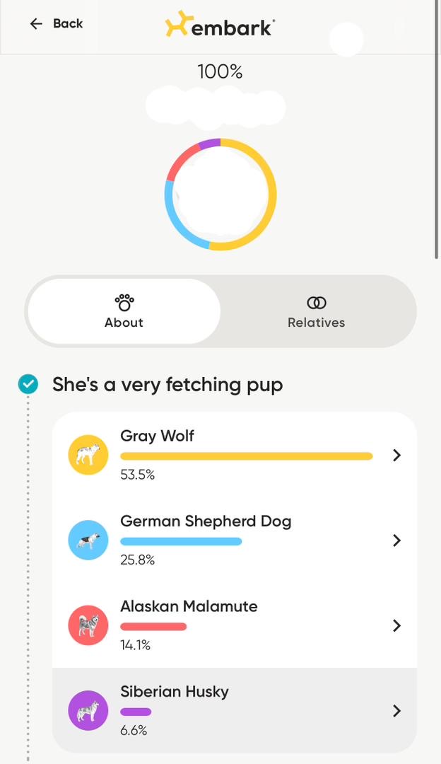Holly Embark Results 2