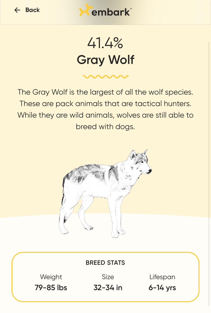 Kodi Embark Results 1