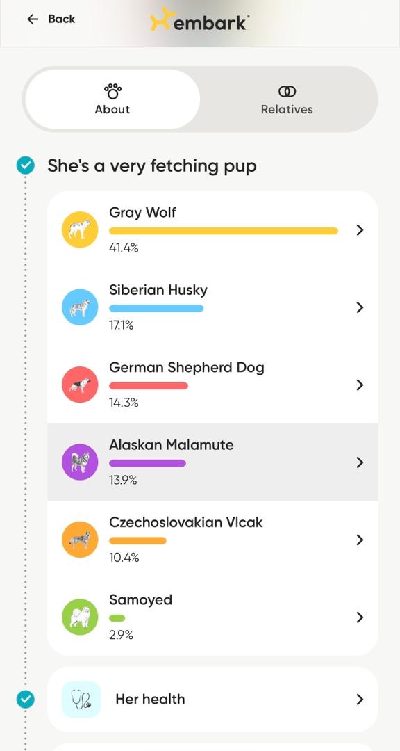 Kodi Embark Results 2