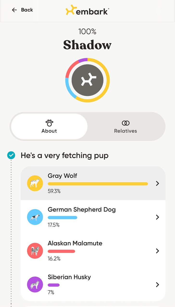 Max Embark Results 2