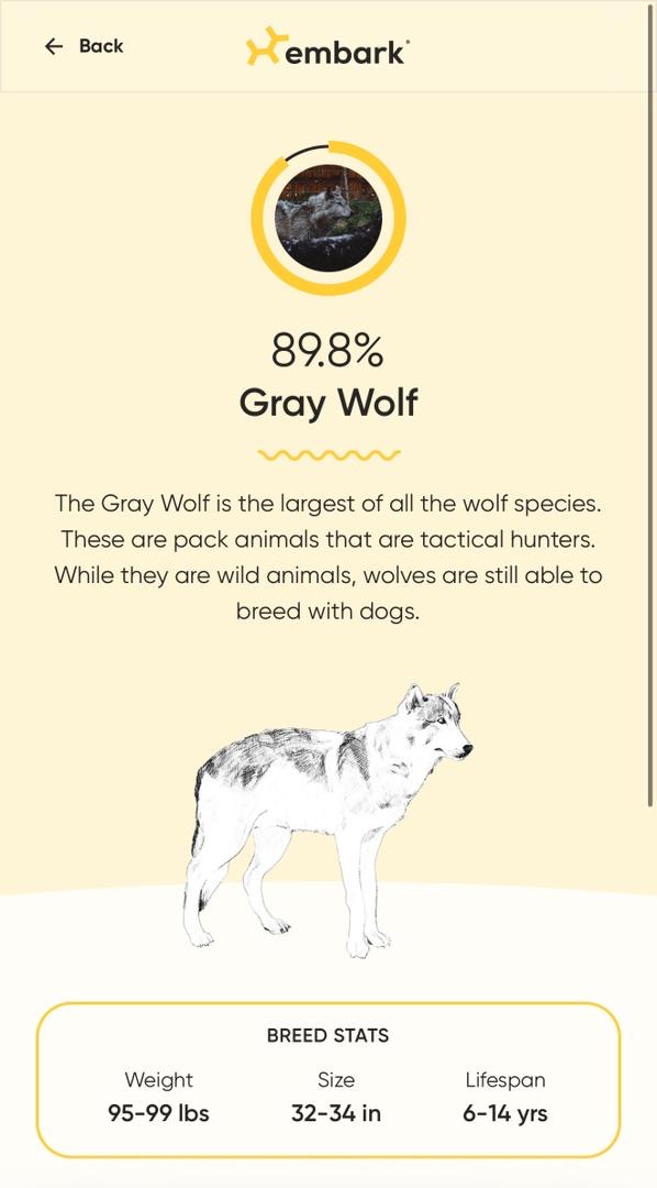 Milo Embark Results 1