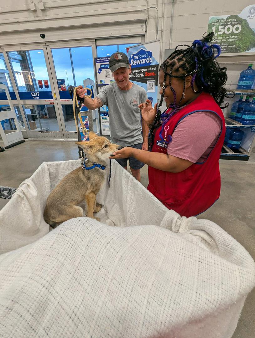 Archie - Customer Testimonial