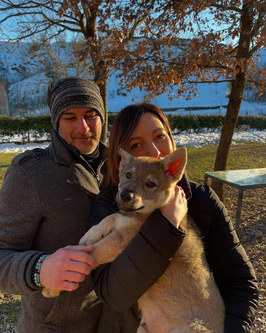 Maxii - Customer Testimonial