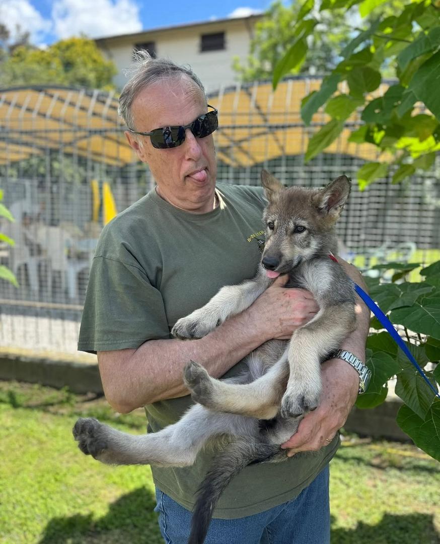 Goose - Customer Testimonial