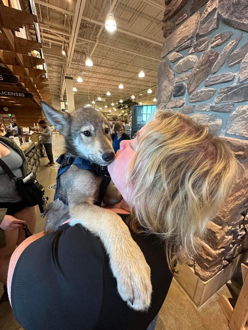 Hank (Franklin) - Customer Testimonial